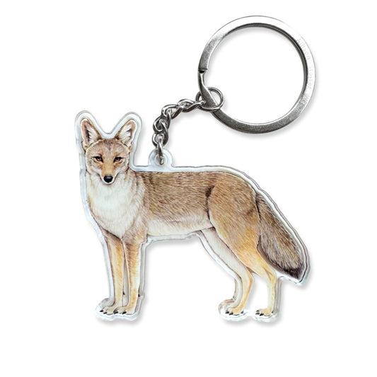 An acrylic keychain of a coyote.