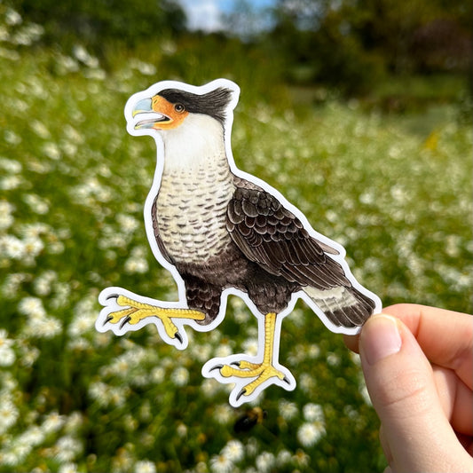 A vinyl sticker of a crested caracara