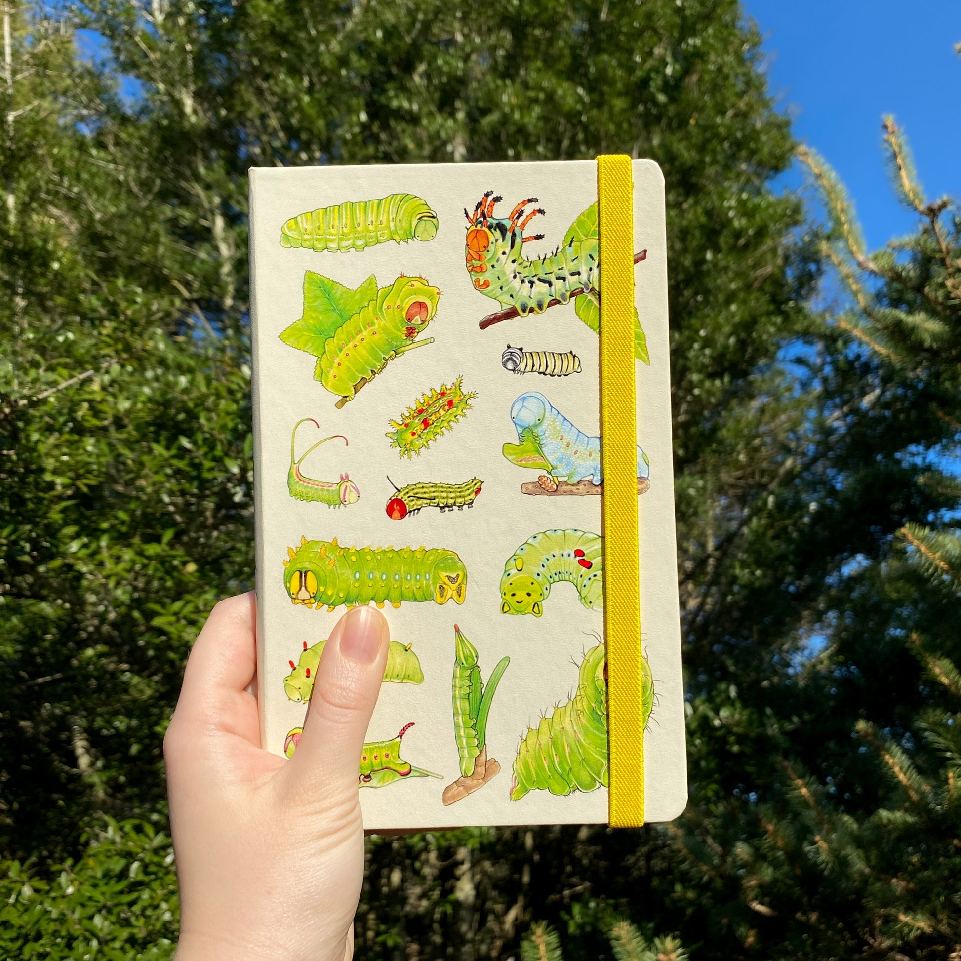 Hand holding an A5 leatherette journal with a colorful caterpillar spread and a yellow elastic band.