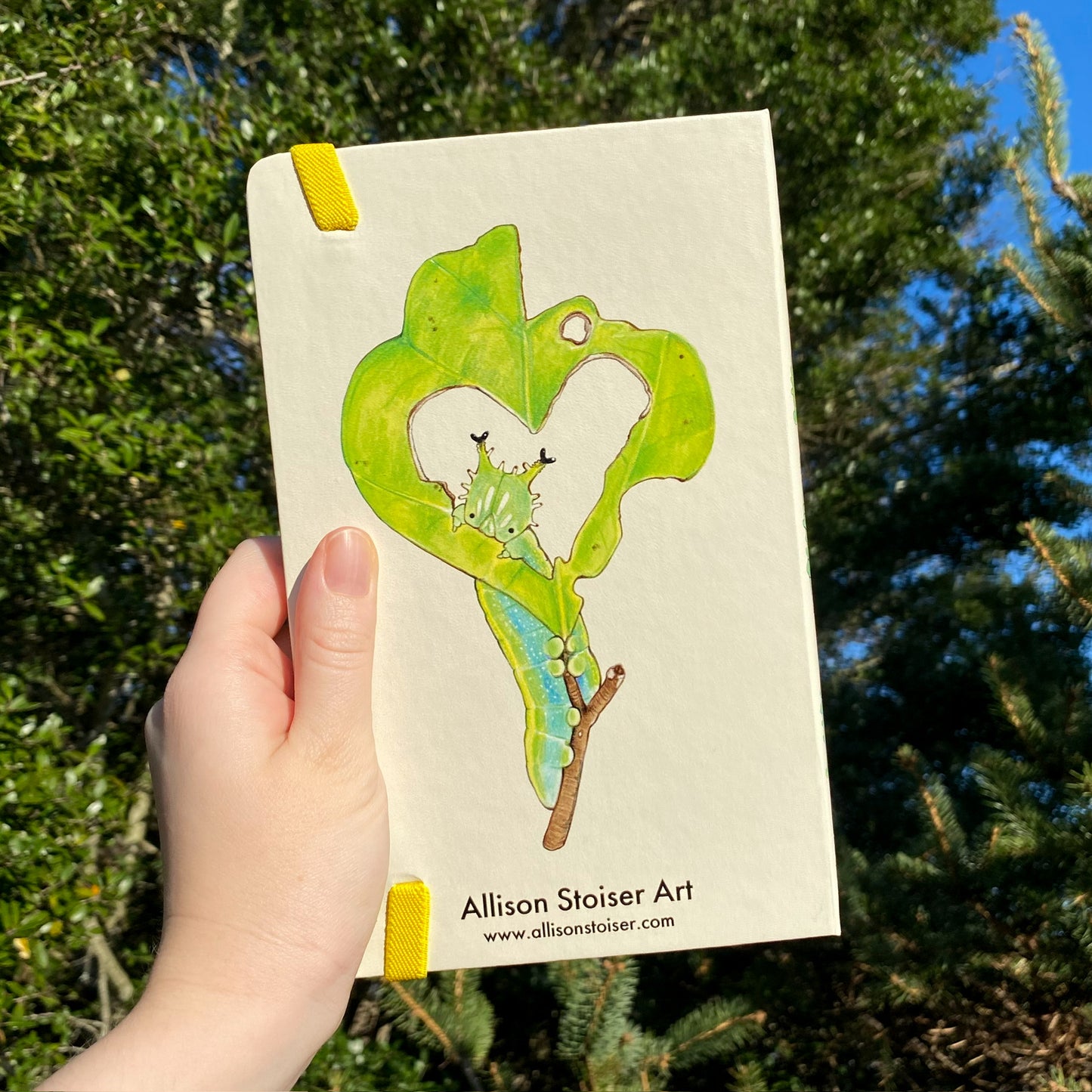 Back of caterpillar journal with a caterpillar