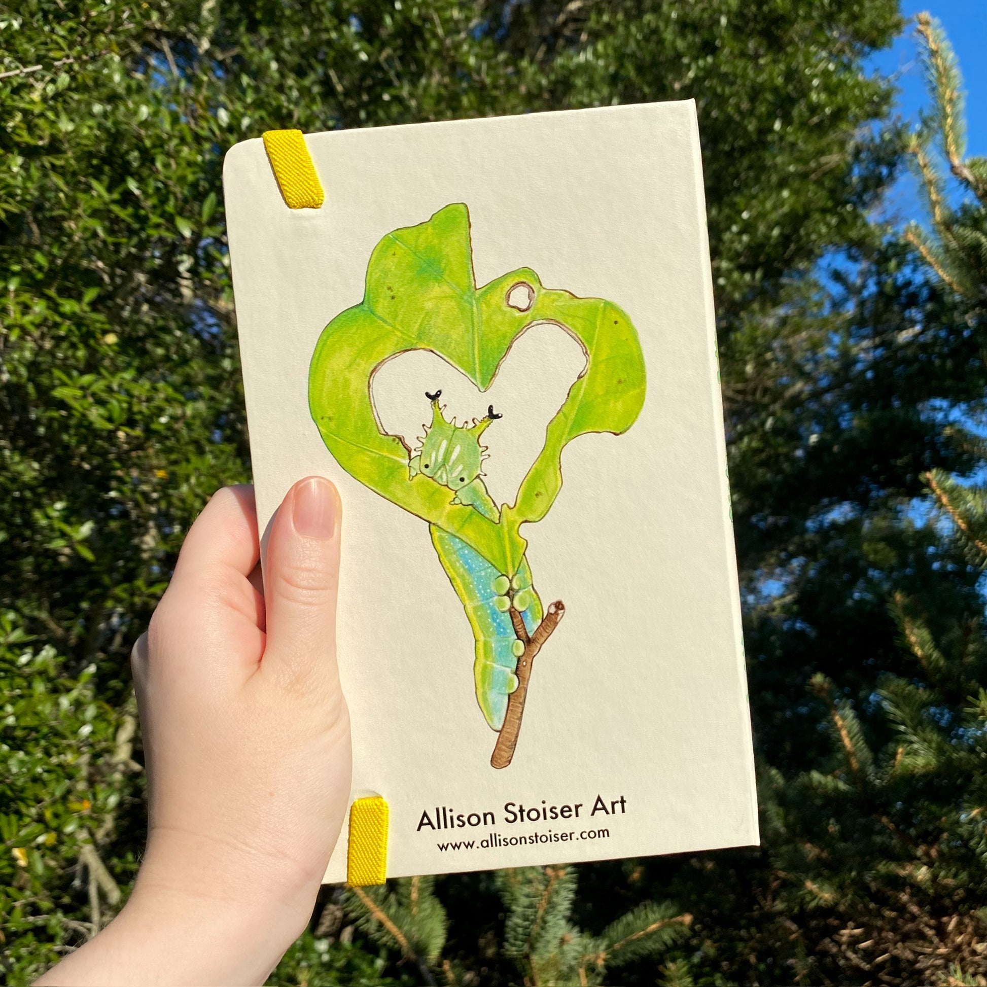 Back of caterpillar journal with a caterpillar