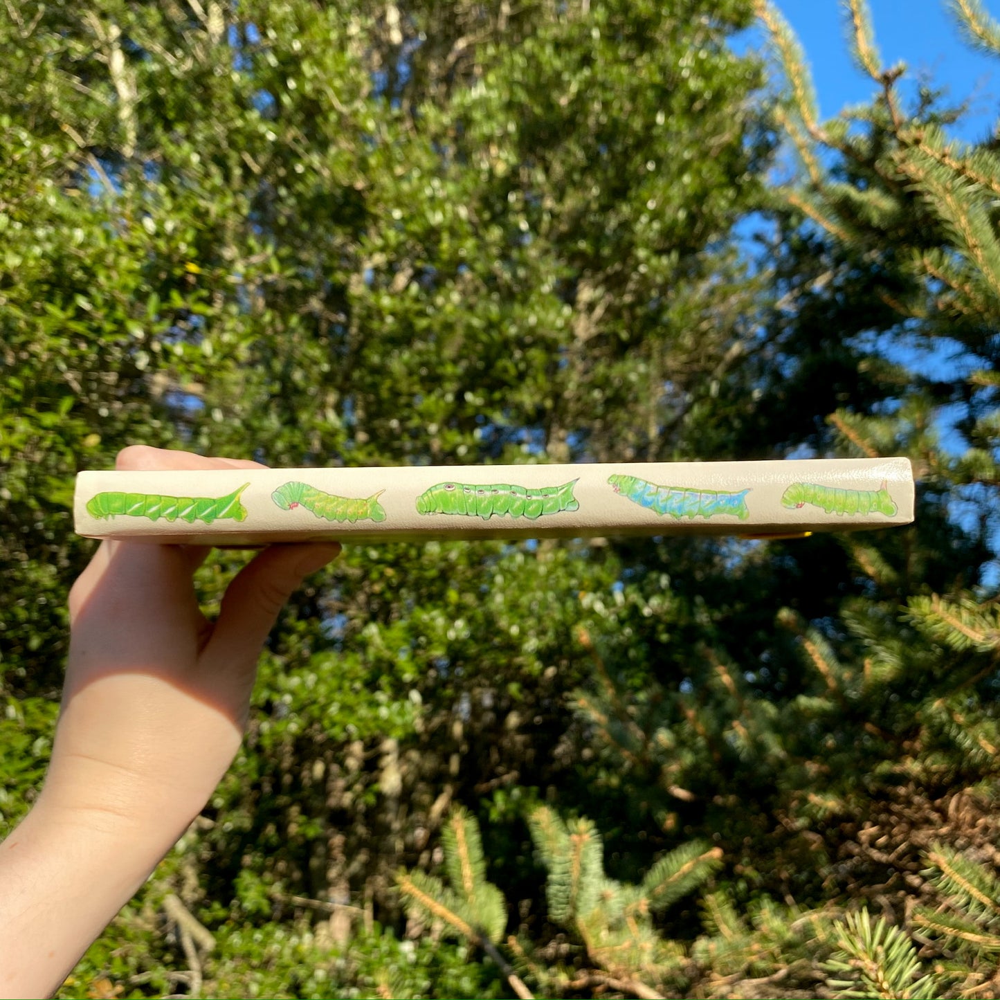 The spine of the cute caterpillars journal with a parade of caterpillars