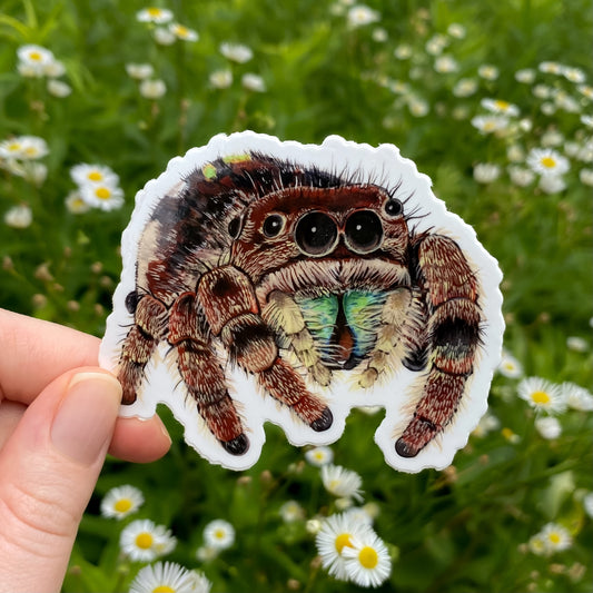 Sticker of a brown jumping spider held in front of a natural background with greenery and flowers