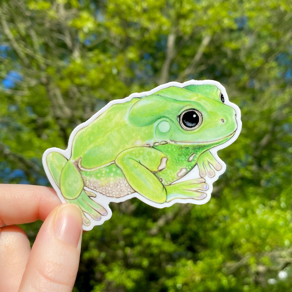 A hand holding a weatherproof vinyl sticker of a waxy monkey frog.