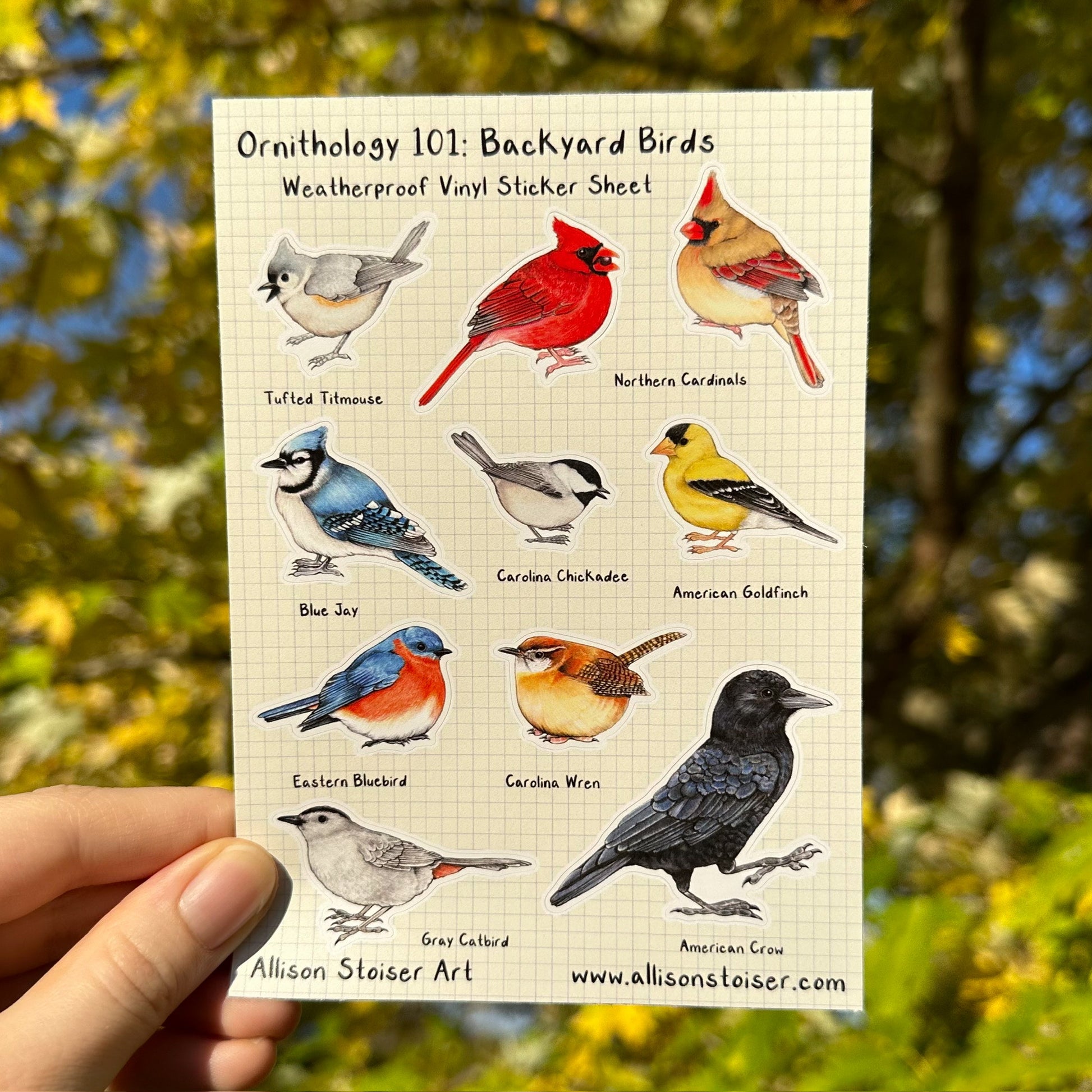 A weatherproof sticker sheet featuring illustrations of backyard birds