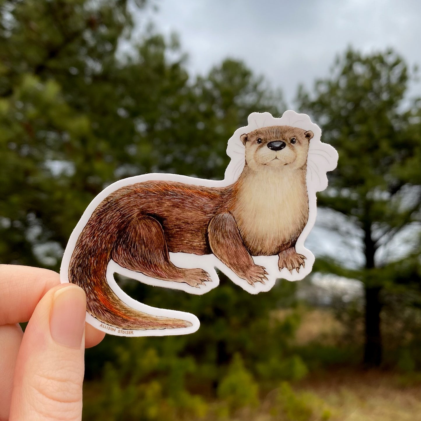 River Otter Weatherproof Vinyl Sticker