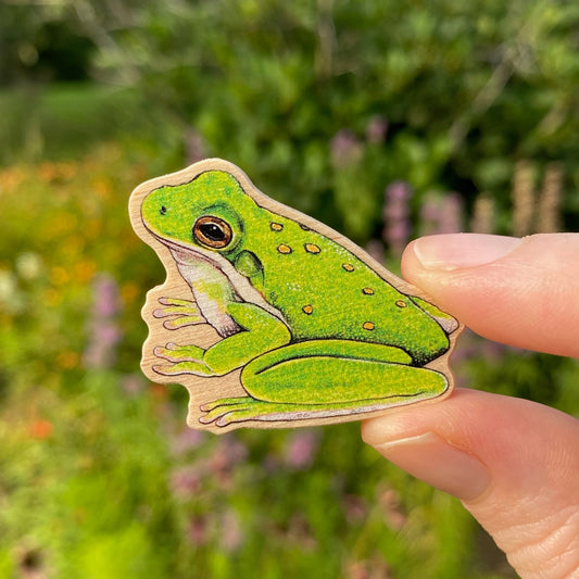 American Green Tree Frog Pin