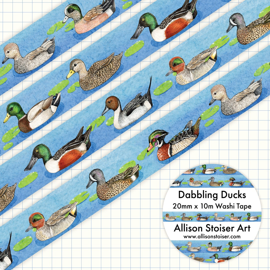 A roll of washi tape with illustrations of various dabbling ducks on a blue watercolor background.
