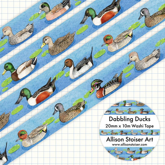 A roll of washi tape with illustrations of various dabbling ducks on a blue watercolor background.