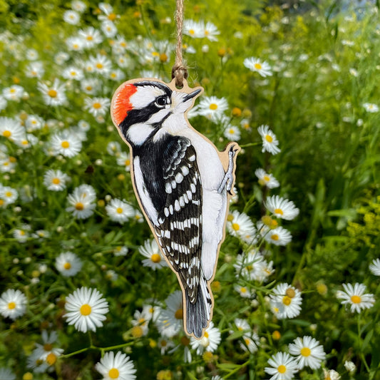 Downy Woodpecker Wood Print Ornament