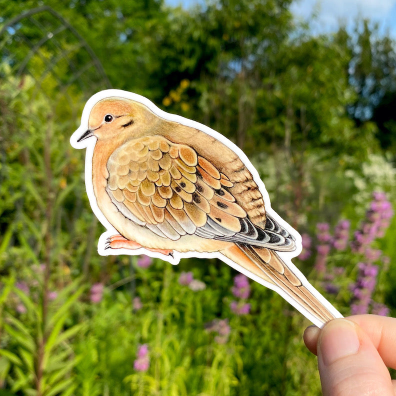 A hand holding a sticker featuring an illustration of a mourning dove