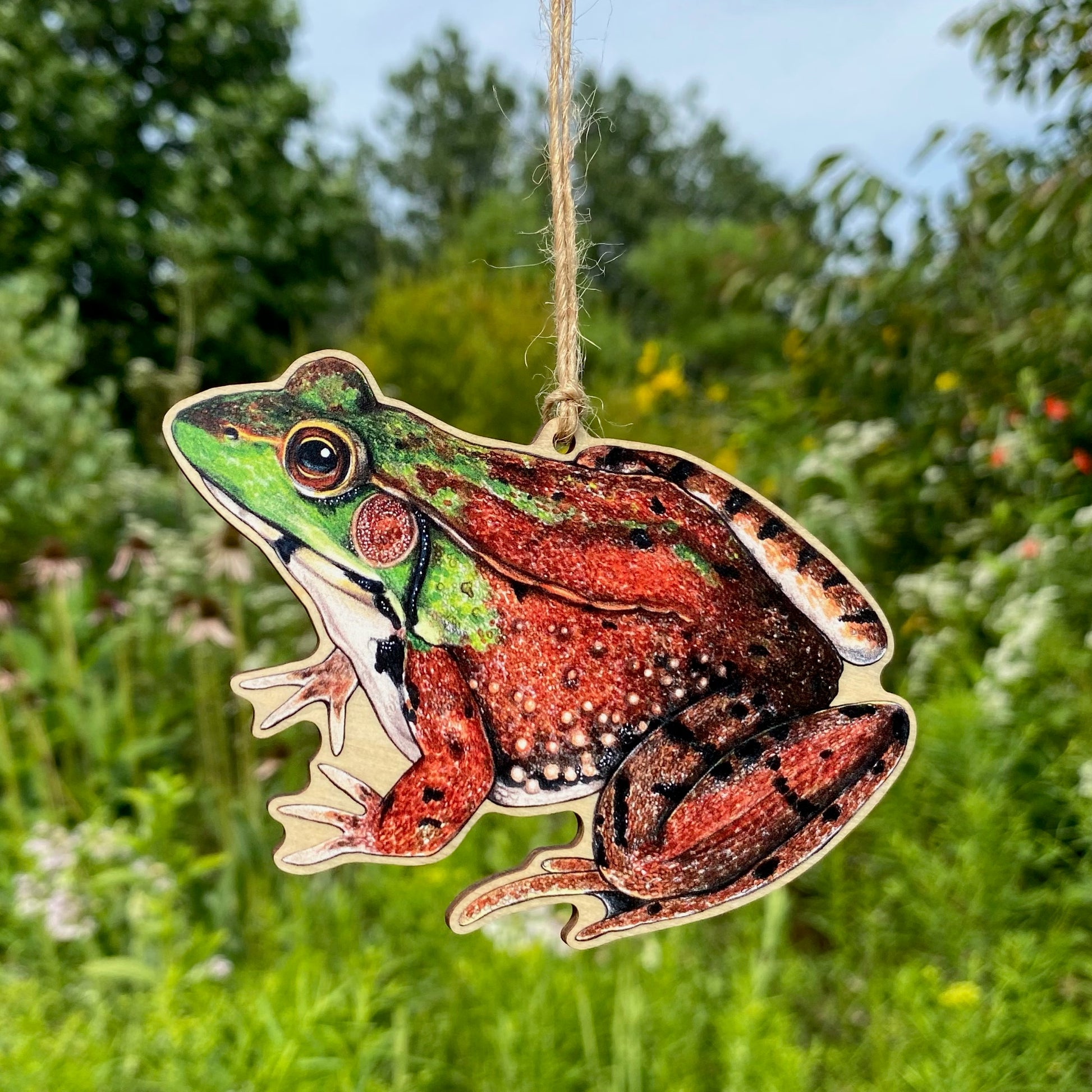 A wooden ornament strung with twine of a green frog.