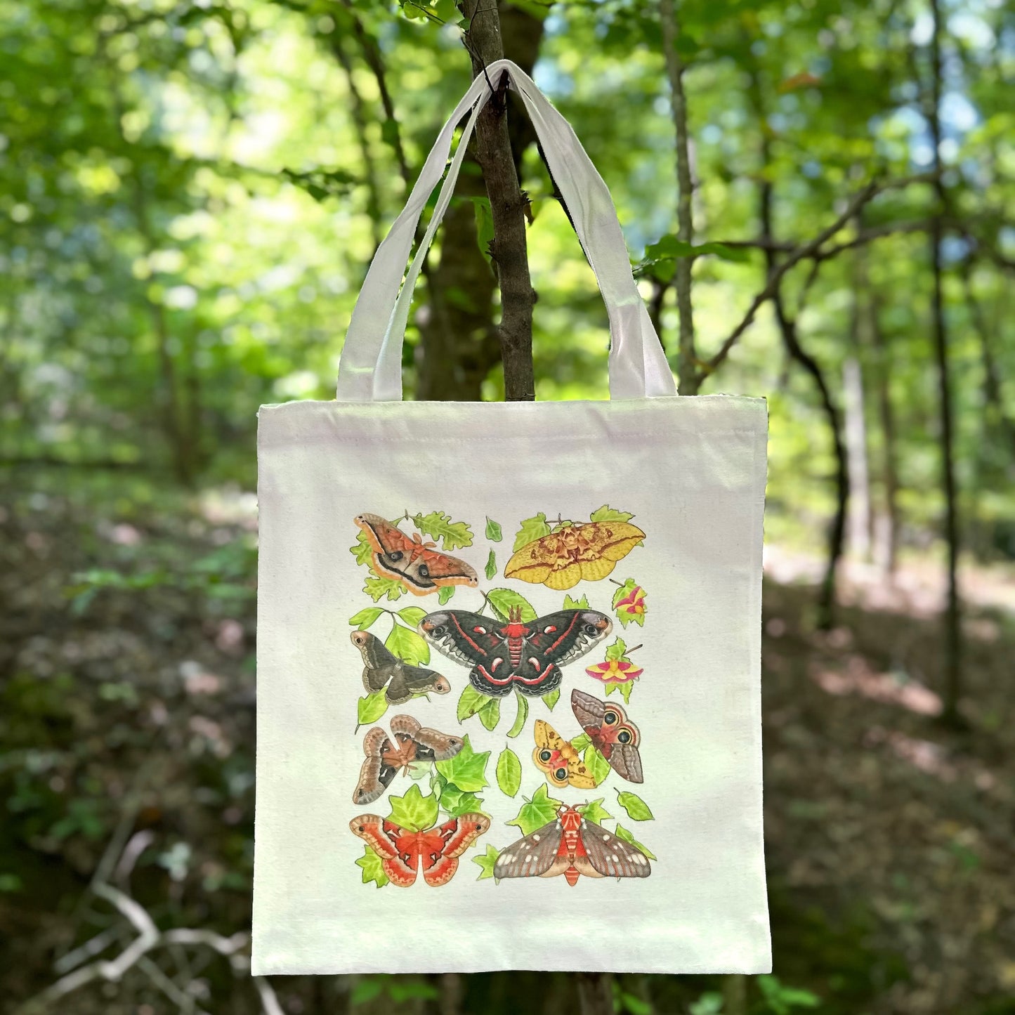Silk Moths of the Eastern United States Tote Bag
