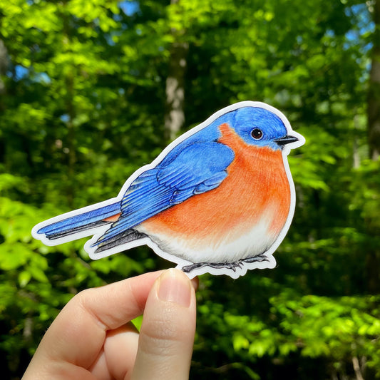 A hand holding a sticker featuring an illustration of an eastern bluebird