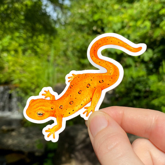 A hand holding a sticker of an orange eastern newt eft.