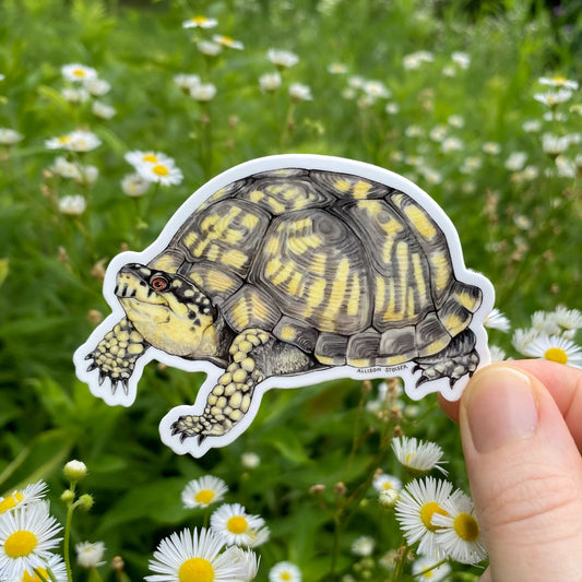 Sticker of a box turtle held in front of a field of flowers