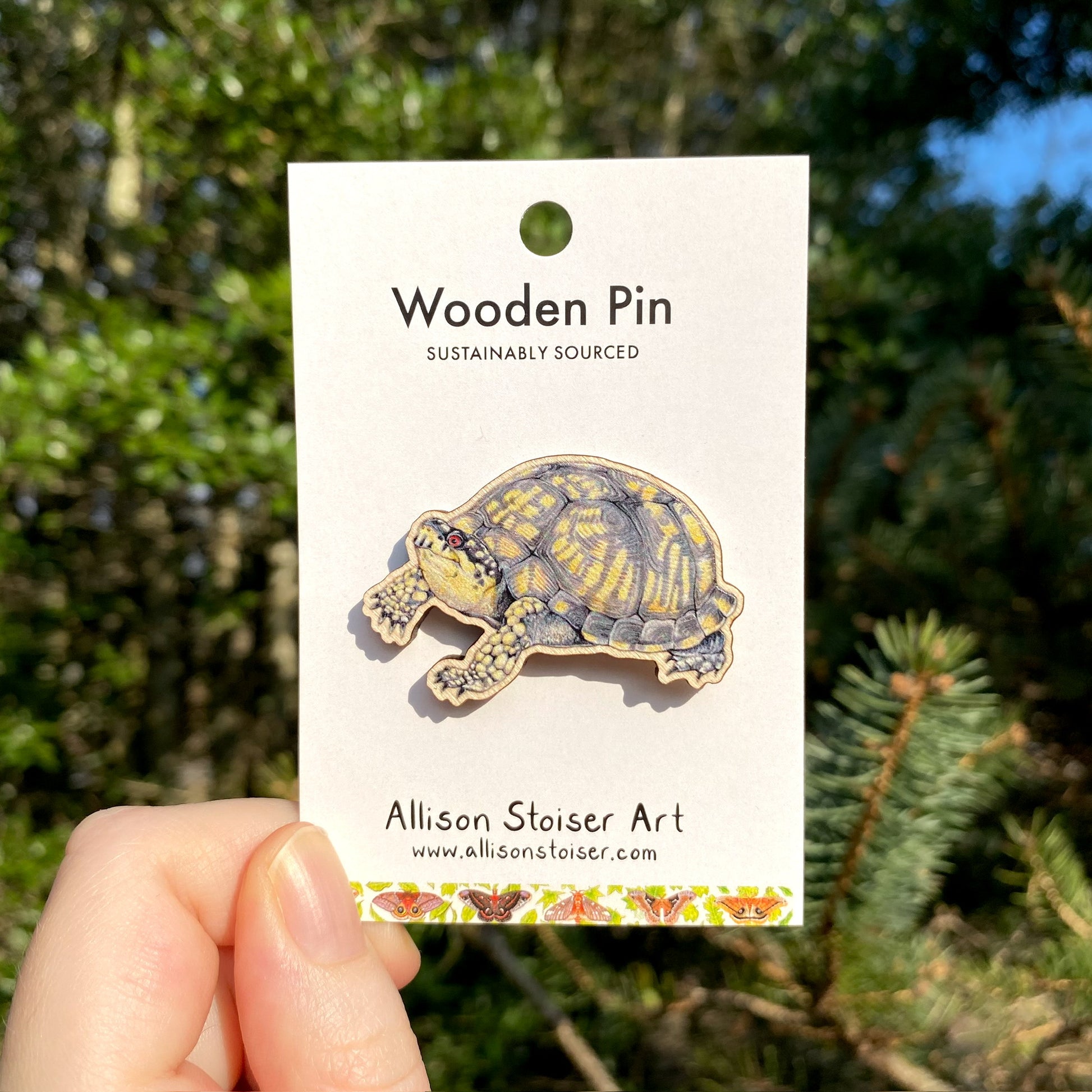 A wooden pin of an eastern box turtle