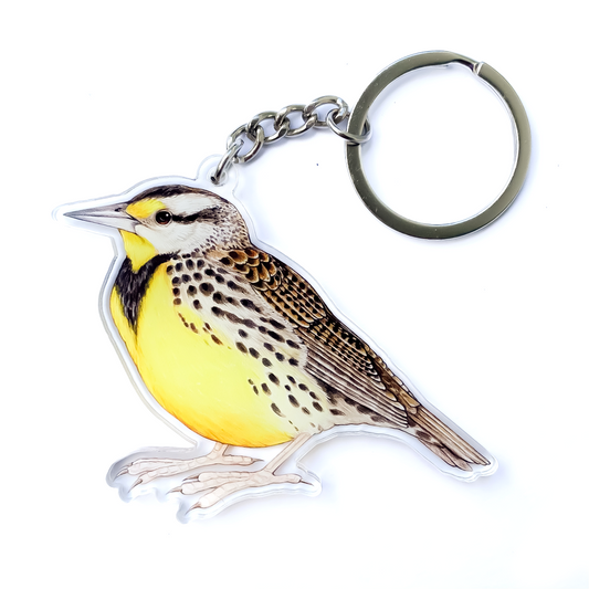 A keychain of an eastern meadowlark