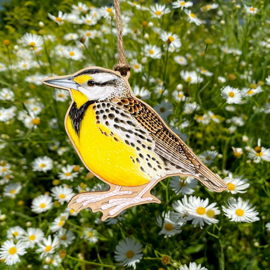 Eastern Meadowlark Wood Print Ornament