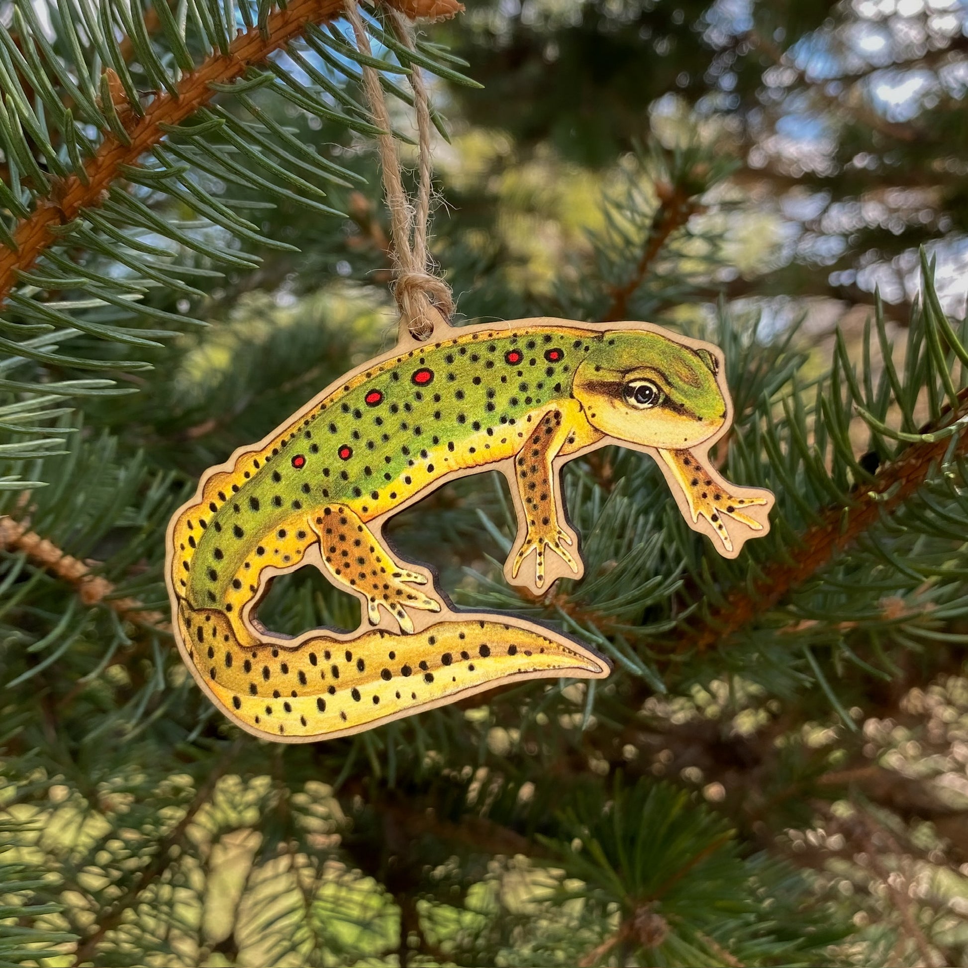 Eastern Newt Ornament