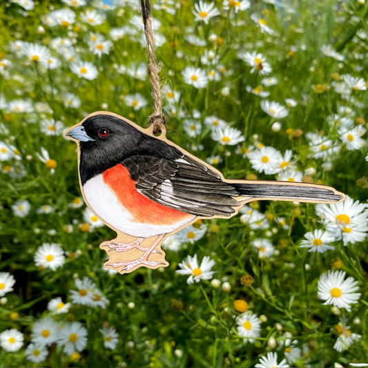 Eastern Towhee Wood Print Ornament