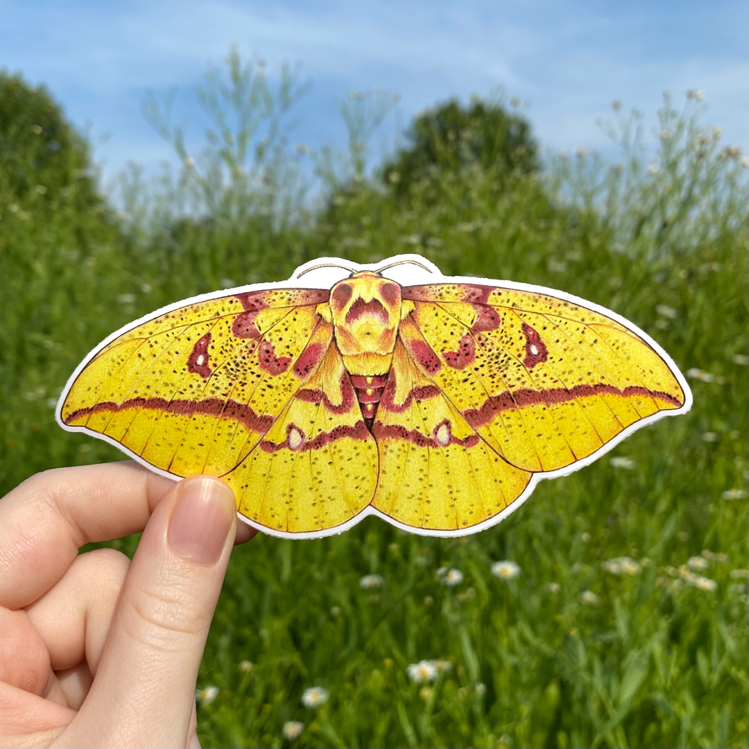 Imperial Moth Weatherproof Vinyl Sticker