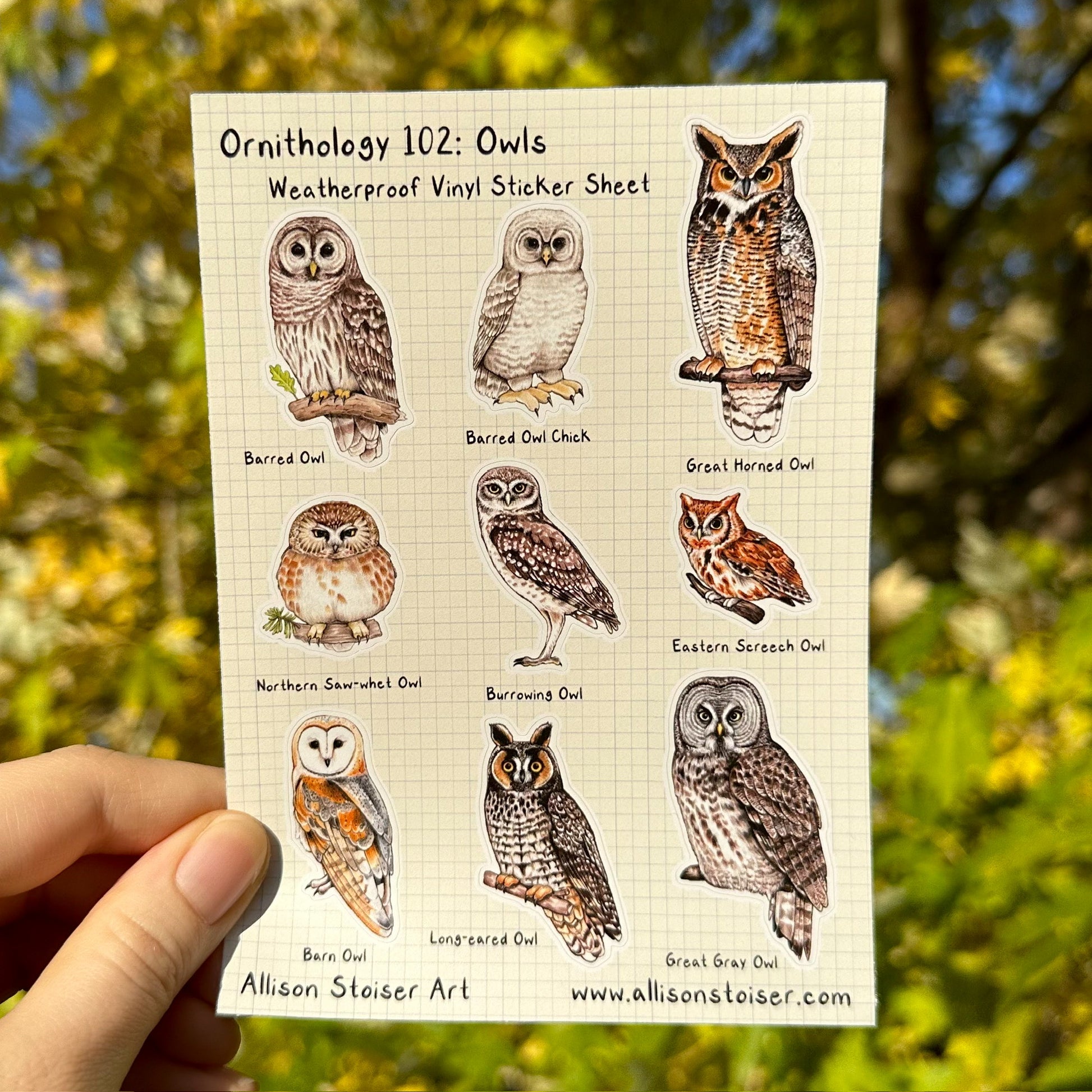 A weatherproof sticker sheet featuring illustrations of owls from the Eastern United States