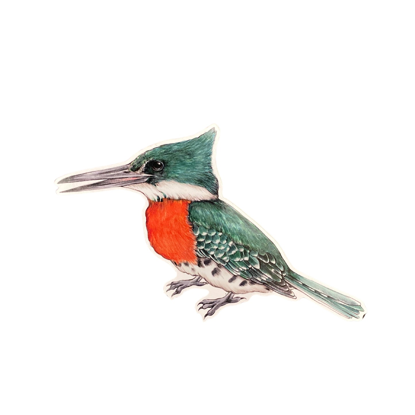 A weatherproof vinyl sticker of a green kingfisher on a white background.