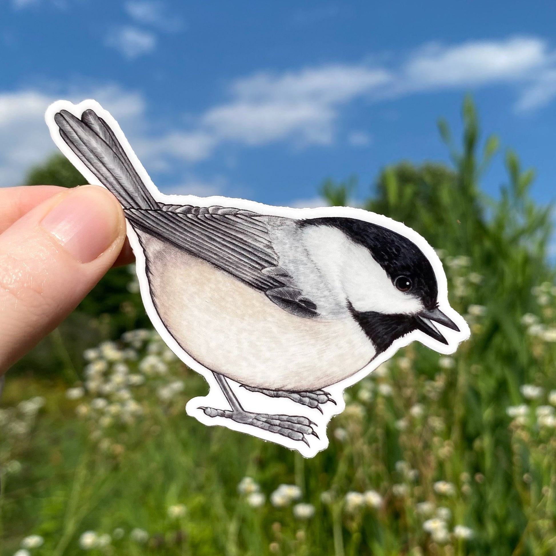 A hand holding a weatherproof vinyl sticker of a Carolina chickadee.