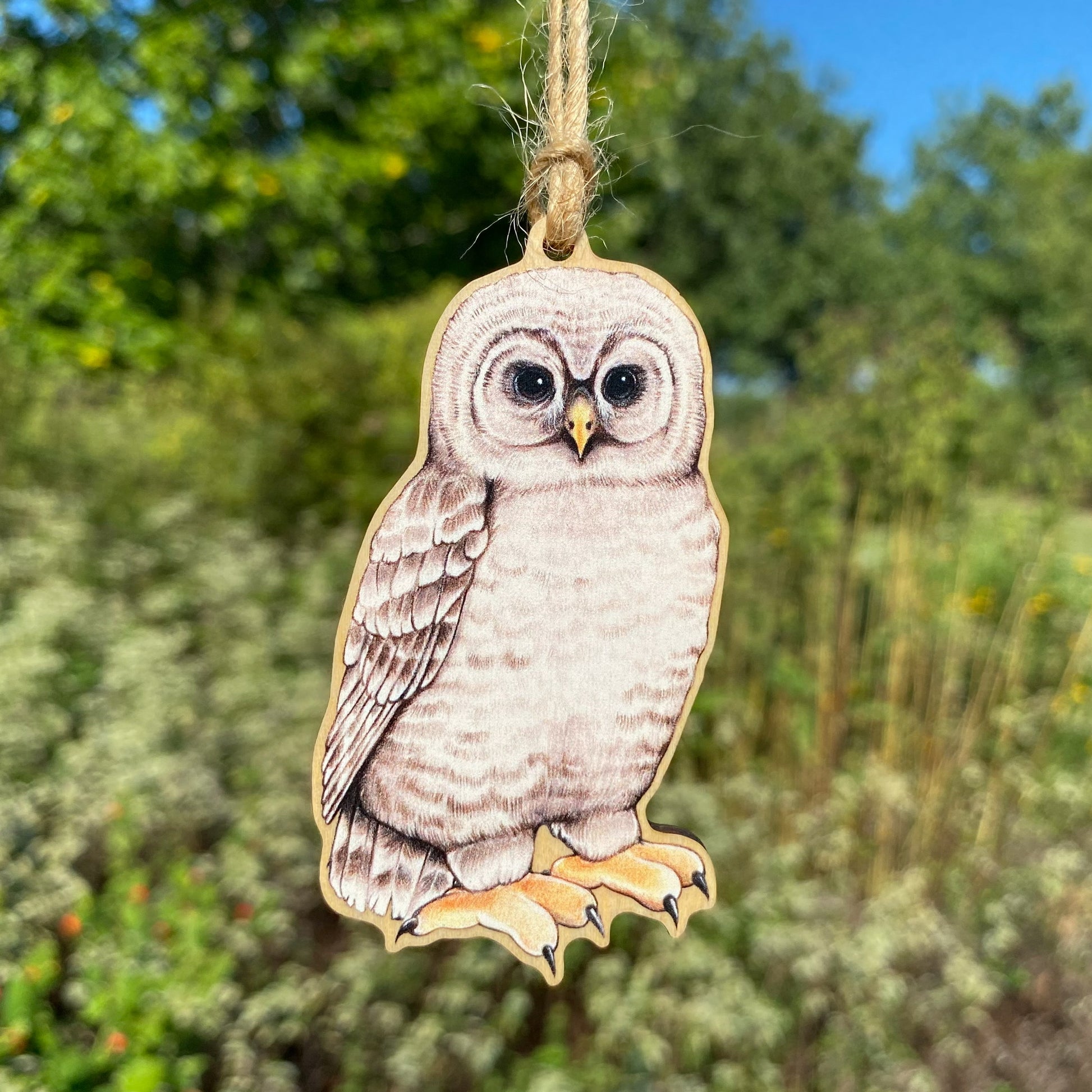 A wooden ornament strung with twine of a barred owl chick.