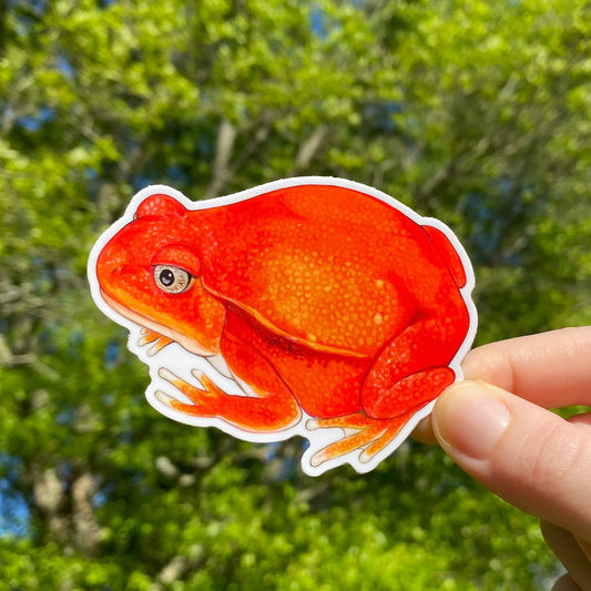 A hand holding a weatherproof vinyl sticker of a tomato frog.