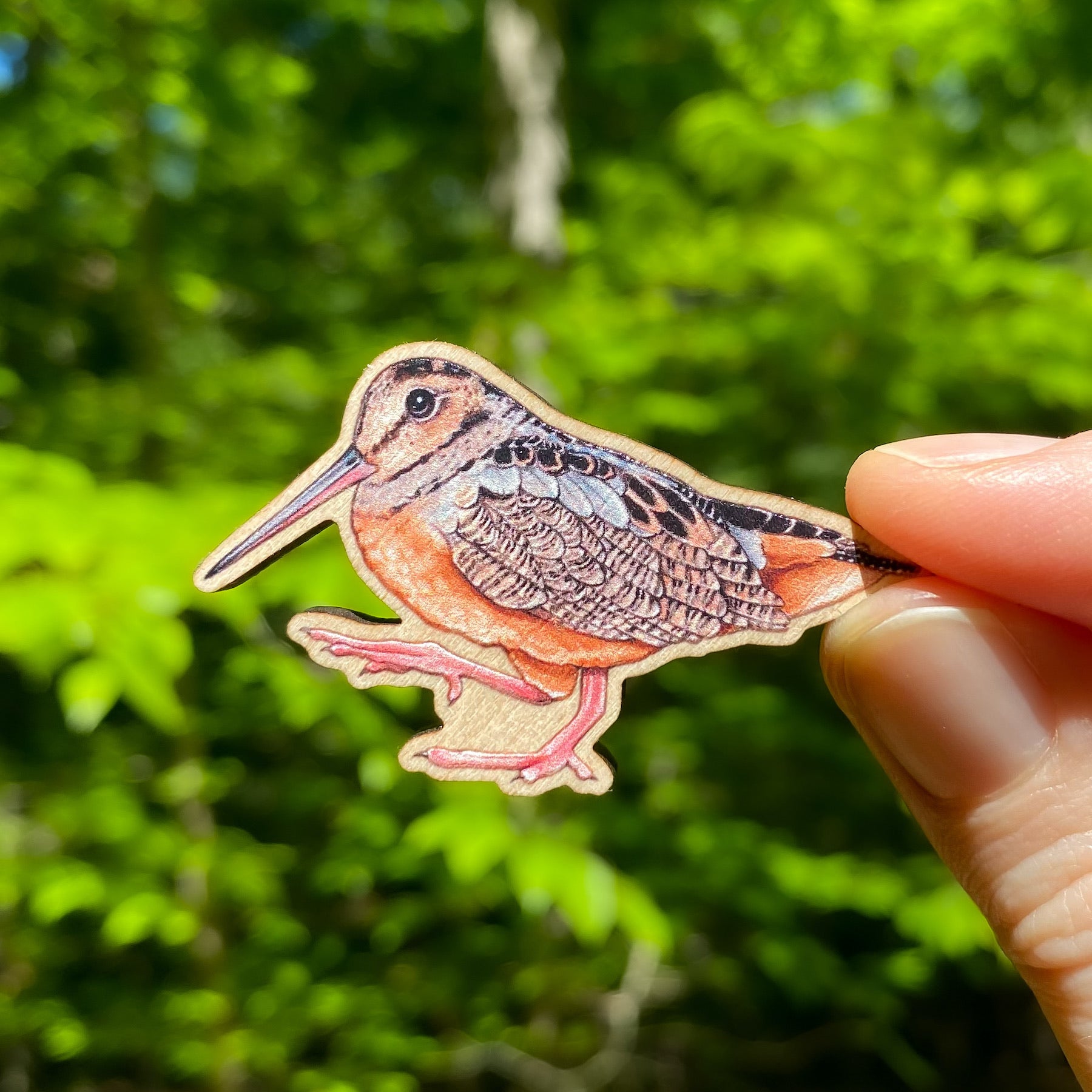 A wooden pin of an American woodcock, or timberdoodle, on a white background.