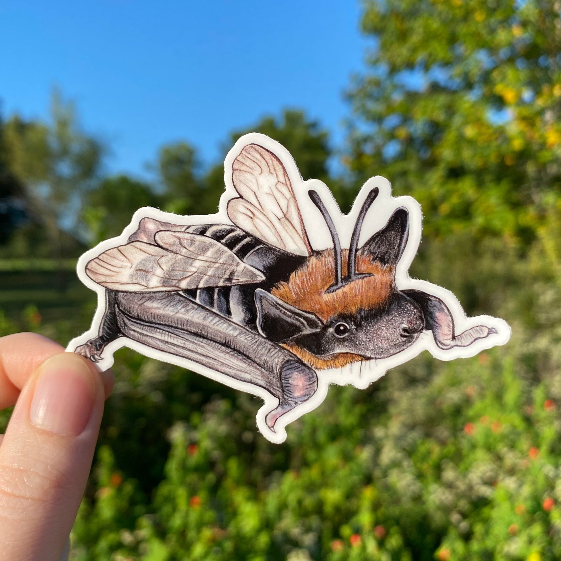 A hand holding a sticker featuring an illustration of a bee dressed as a bat