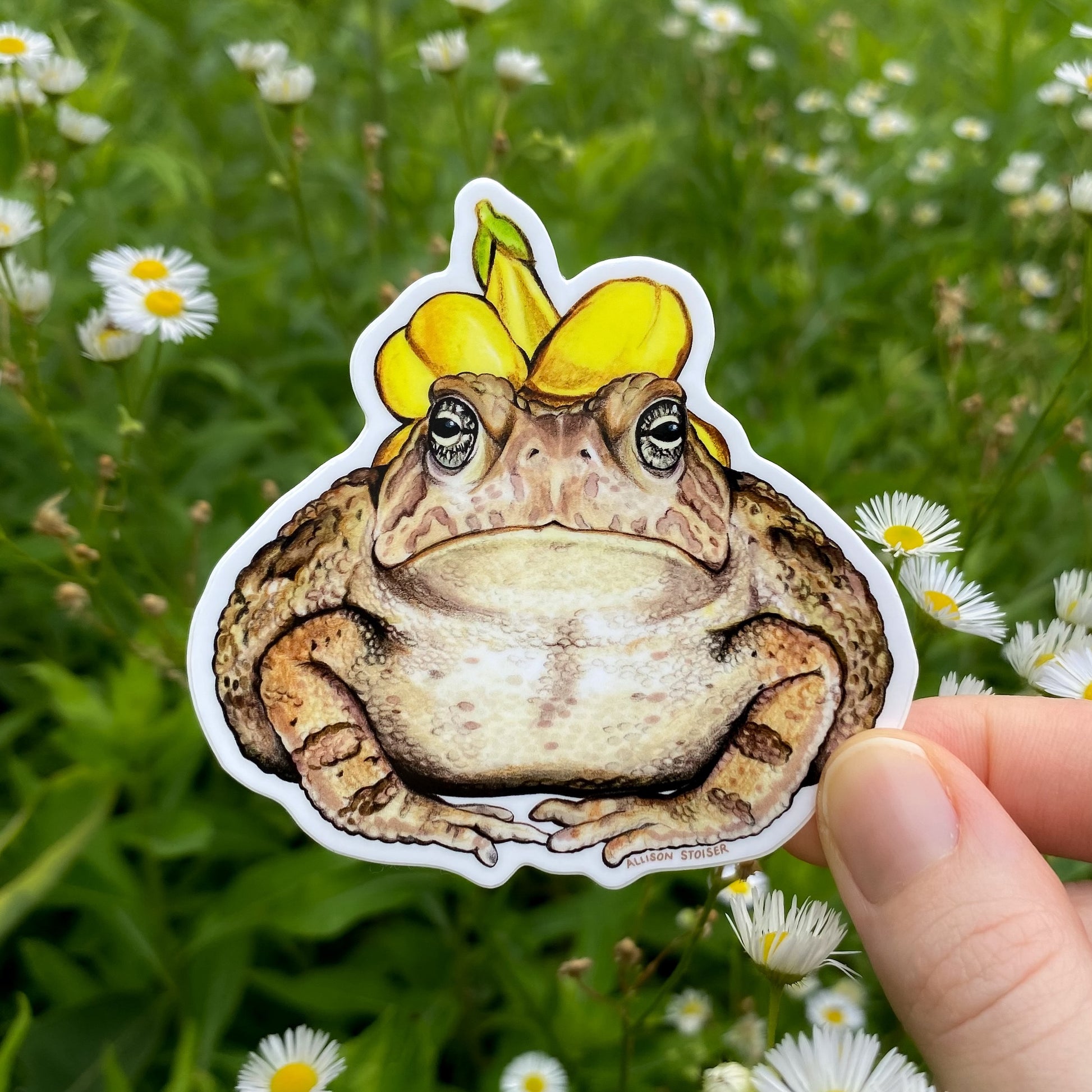 Sticker of a toad with a yellow flower on its head held over a natural background with flowers.