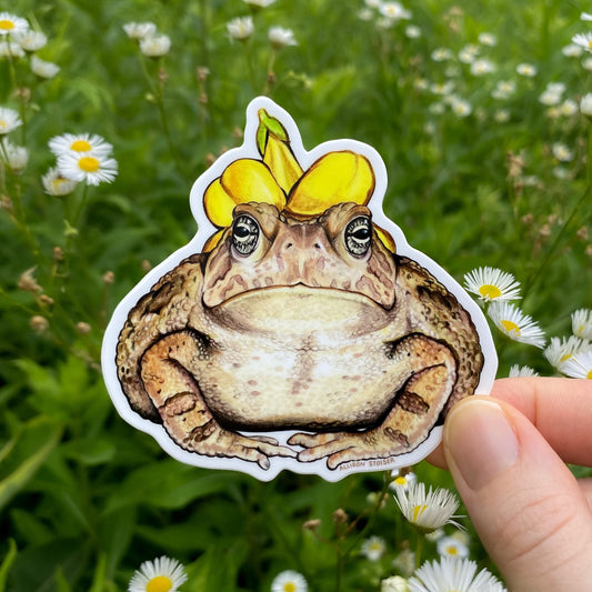 Sticker of a toad with a yellow flower on its head held over a natural background with flowers.