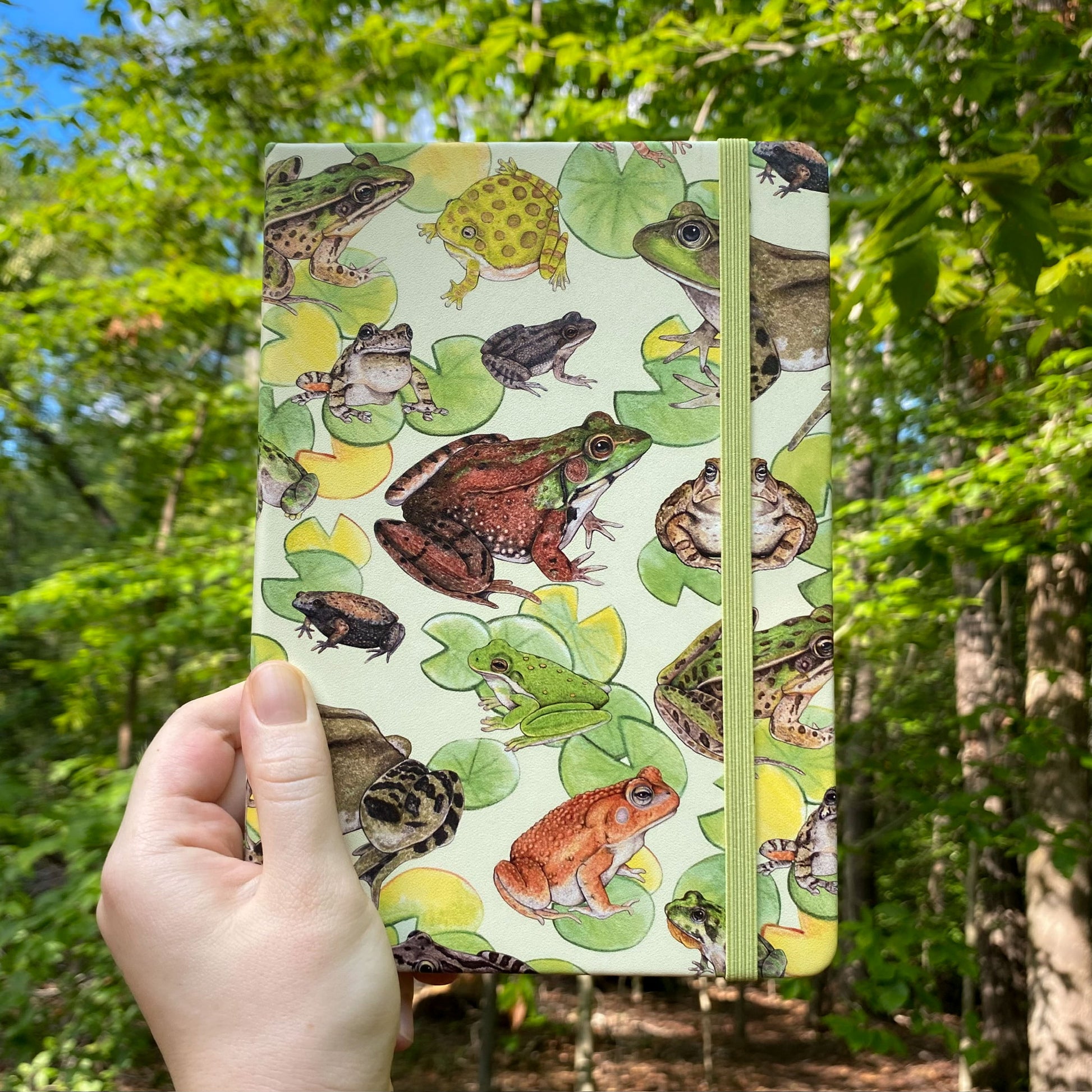 Notebook with frog pattern held in front of a forest background
