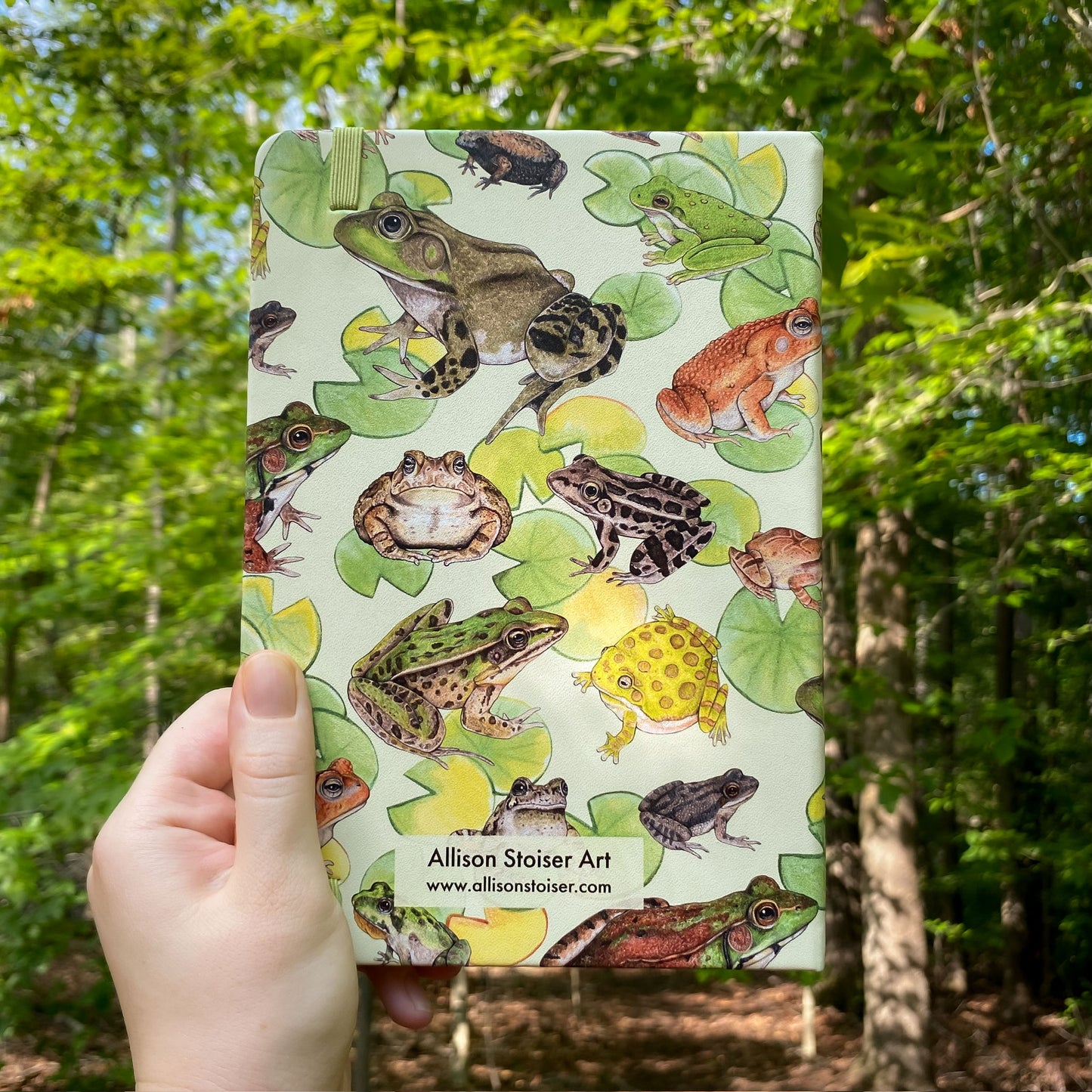 Notebook with frog design held in front of a forest background