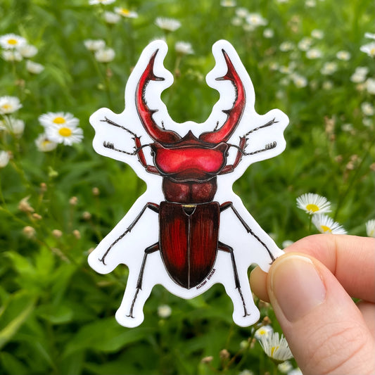 Hand holding a giant stag beetle sticker with a natural background of green grass and white flowers.