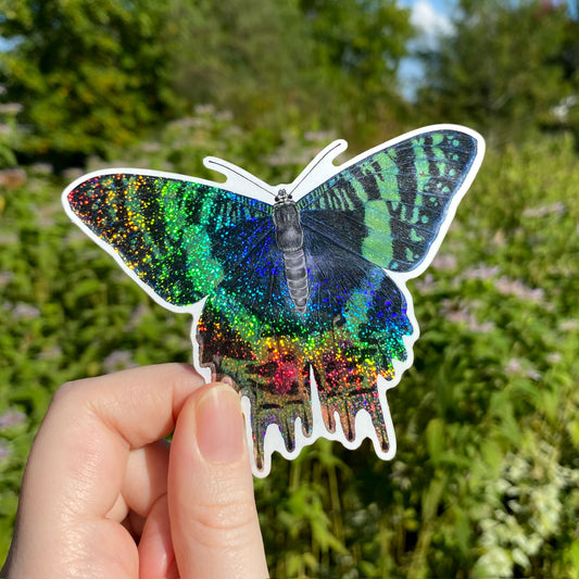 Glittery Madagascar sunset moth sticker held by a hand with a natural background