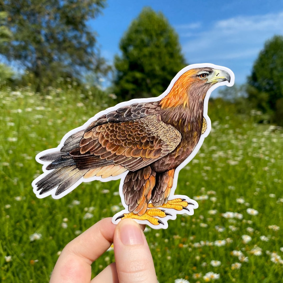 A hand holding a sticker of a golden eagle looking off to the side.