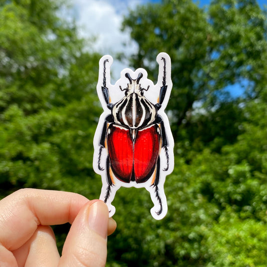 Vinyl sticker of a goliath beetle
