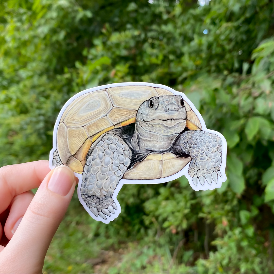 A hand holding a sticker of a gopher tortoise.