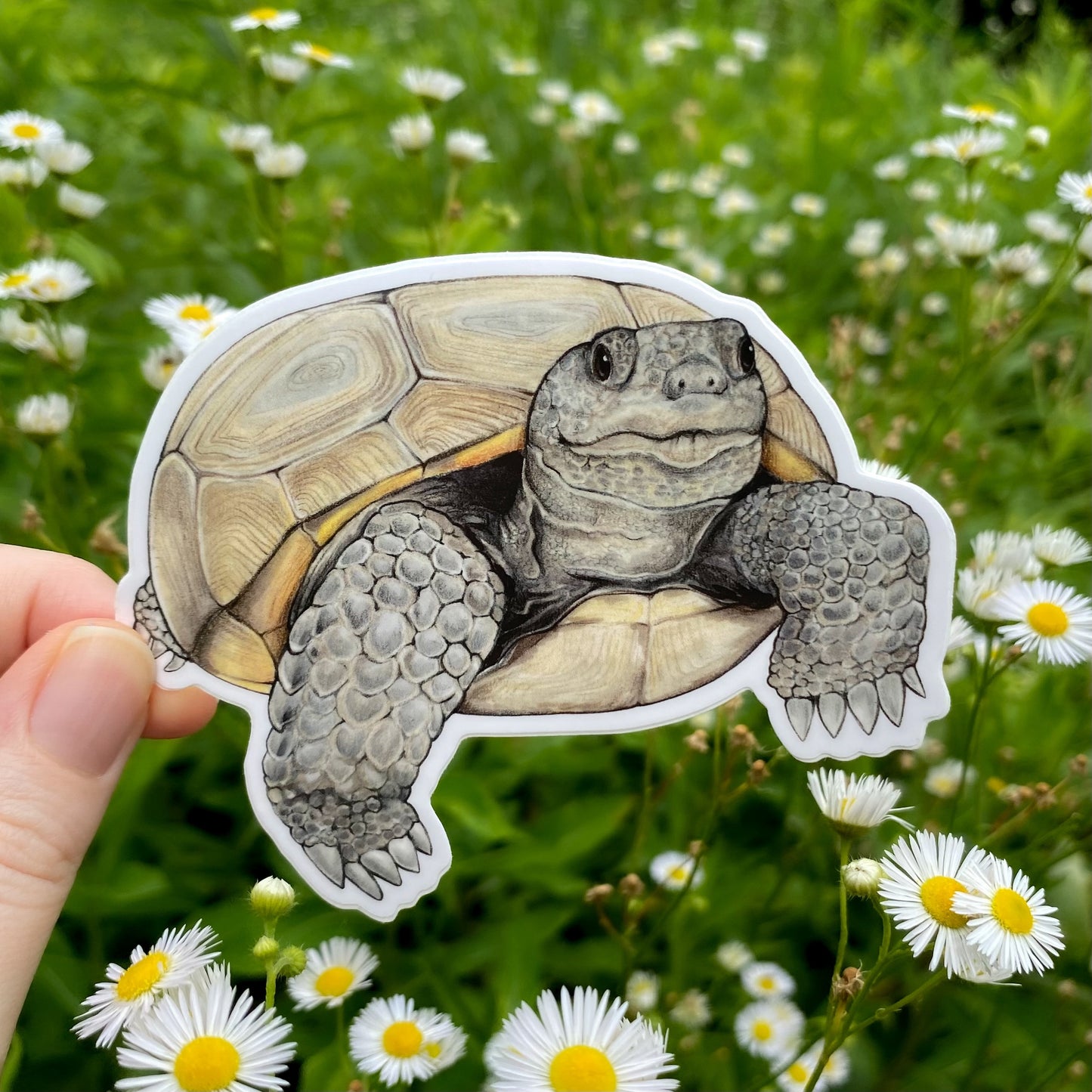 Sticker of a gopher tortoise held in front of a natural background with flowers
