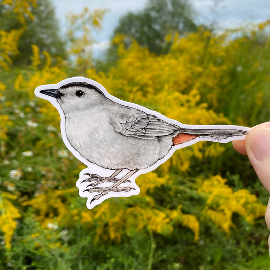 Gray catbird sticker held over a natural background with greenery and yellow flowers