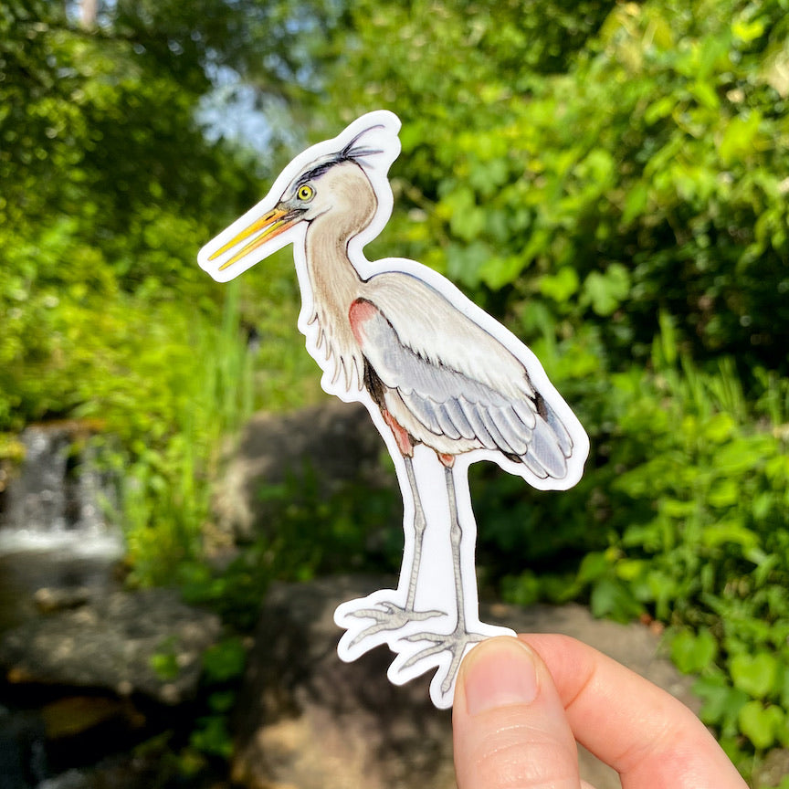 A hand holding a sticker of a green heron.