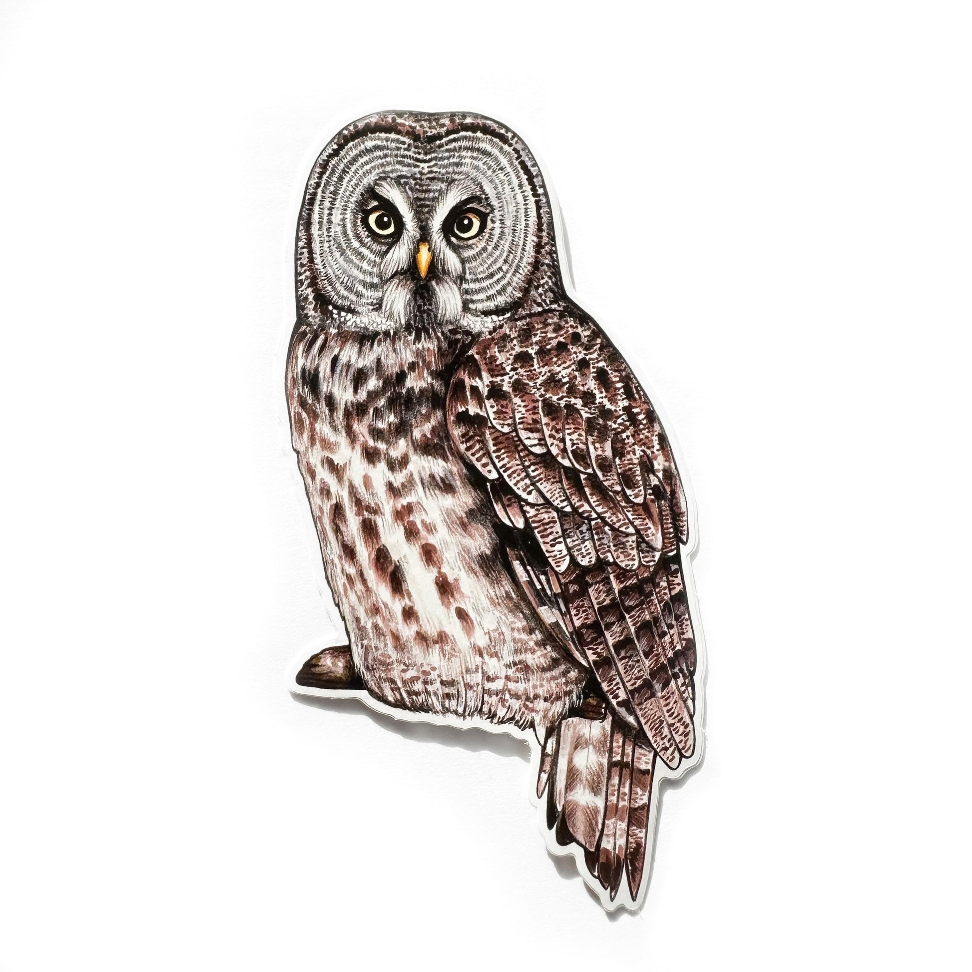 A weatherproof vinyl sticker featuring an illustration of a great gray owl