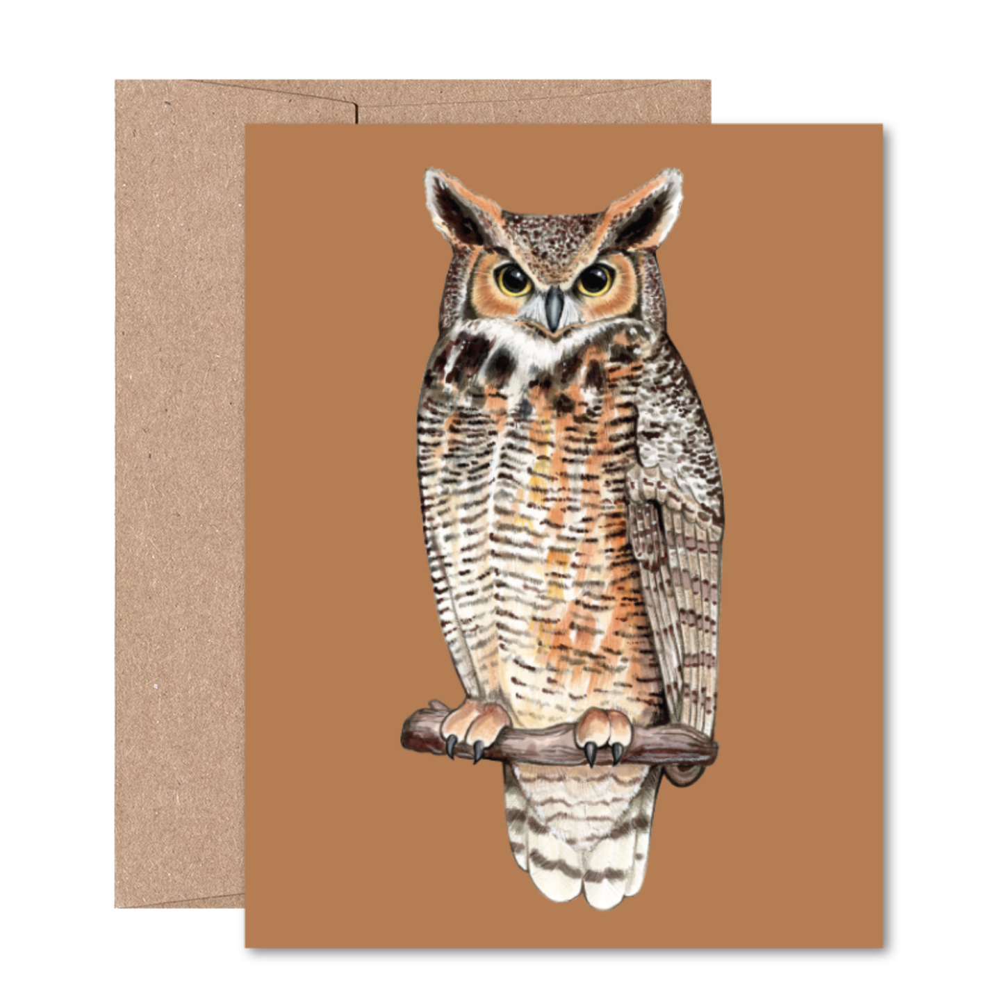 North American Owls Boxed Card Set
