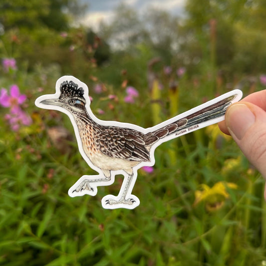 A die-cut sticker of a roadrunner held by hand against a blurred green outdoor background with pink flowers.