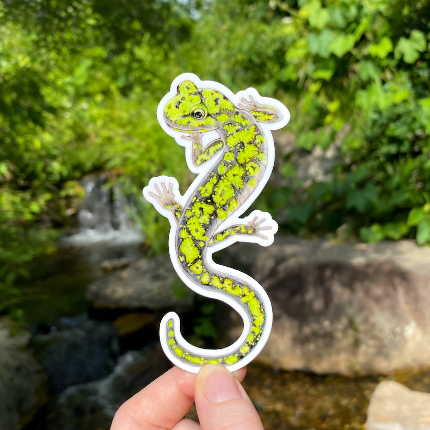 A hand holding a sticker of a  green salamander.