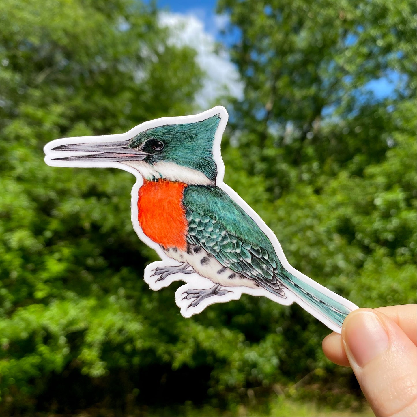 Vinyl sticker of a green kingfisher
